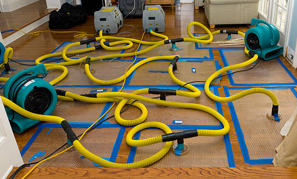 Professional Crawl Space Water Removal technician working in Jamesport, NY